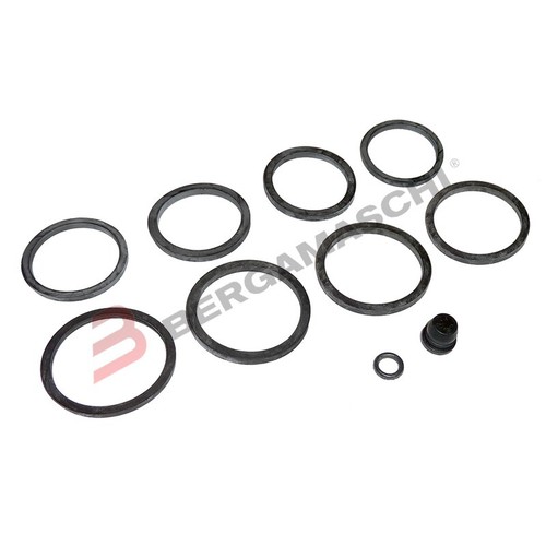 Kit revisione pinza - revisione, per