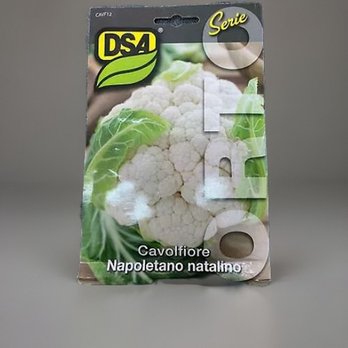 Semi sementi cavolfiore - semi,