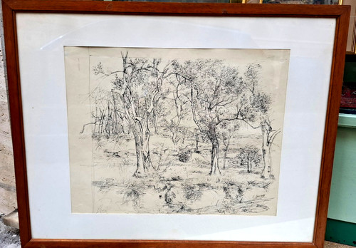 Oscar saccorotti 1898 1986 - saccorotti, 1898-1986