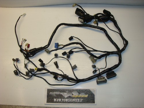 Cablaggio principale honda cbr - principale,
