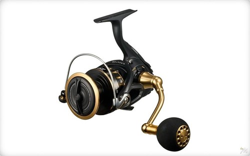 Daiwa mulinello spinning sw - spinning,