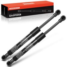 2 molle a gas ammortizzatore