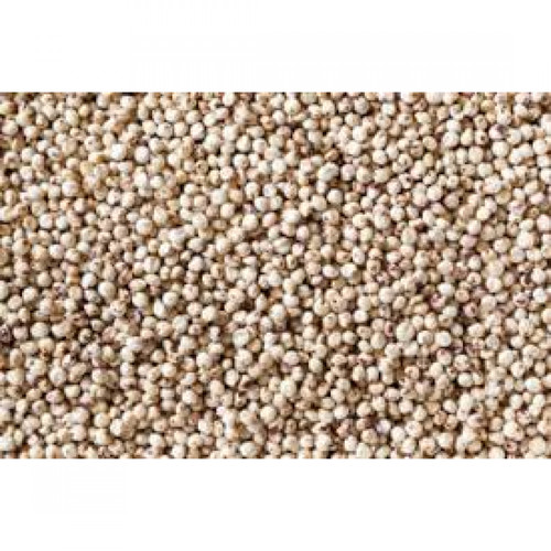 Semi sorgo bianco - bianco,