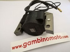 CENTRALINA ELETRONICA MOTORE