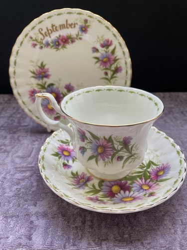 Piattino piatto tazza royal - piatto,
