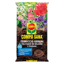 Compo SANA GERANI Terra