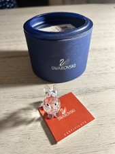 Coniglio in miniatura in