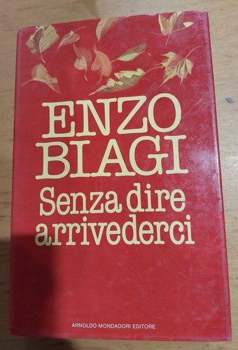 Libro romanzo senza dire - libro,