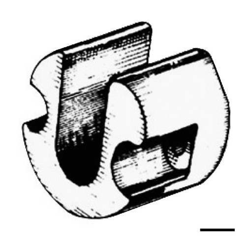 Osculati anodo zinco piede - zinco,