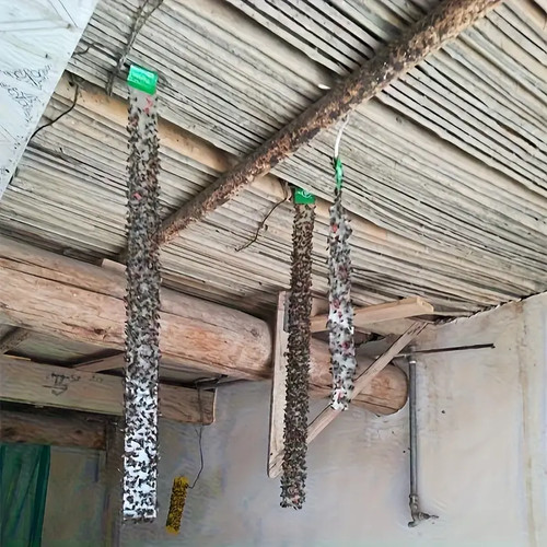 10x trappole mosche doppia - trappole,