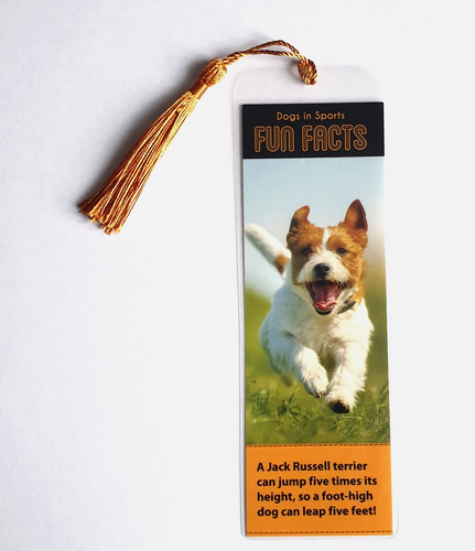 Bookmark jack russell - bookmark,
