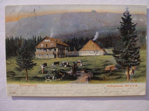 12260 grande schlingelbaude - grande, ak