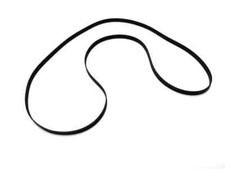 Cinghia 8 pollici Shugart