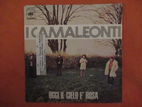 Giri vinile i camaleonti - -,