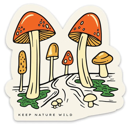 Adesivo bici foresta funghi - foresta,