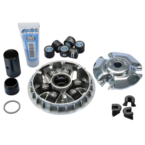 241 619 variatore polini honda - 241.619,