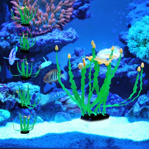 Pianta acquatica artificiale