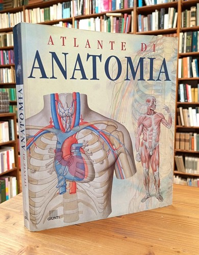 Atlante anatomia adriana - anatomia,
