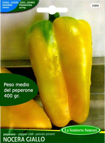 300 semi seeds peperone nocera - 300, semi/seeds