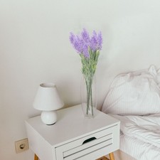 6pcs falso lavanda pianta