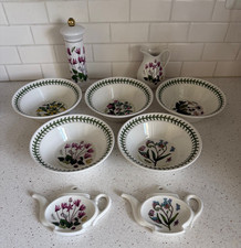 Lot 9 Portmeirion Botanic