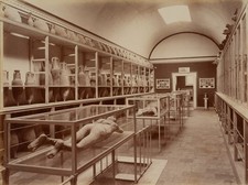 FRATELLI ALINARI (XIX secolo)