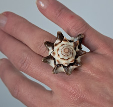 Anello di conchiglia da donna