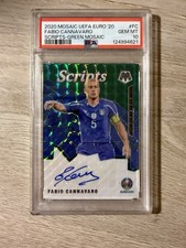 Fabio cannavaro scripts - fabio,