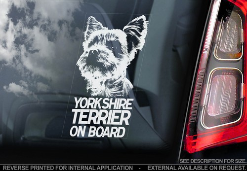 Yorkshire terrier car - yorkshire,
