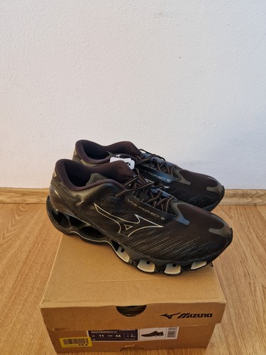 Mizuno wave prophecy - wave, 12
