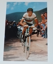 Autografo felice gimondi - autografo,