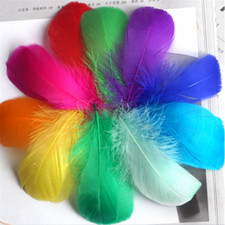 Piuma d'oca galleggiante 100