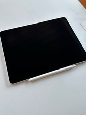 Ipad Pro 12,9 pollici 4gen. 256gb con Apple pencil di 2gen.