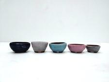 Vasi per bonsai giapponesi