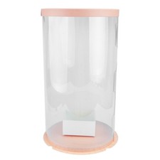  Scatolina Trasparente Scatola