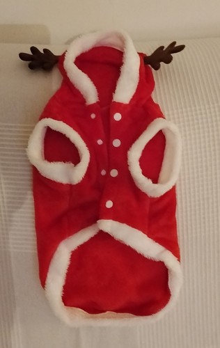 Vestito natale per animali - vestito,