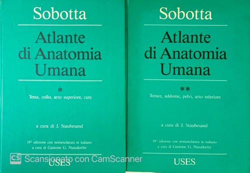 Atlante anatomia umana 2 - di,