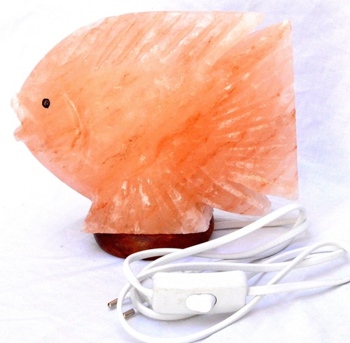 Lampada sale pesce dell - lampada, di