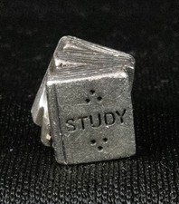 Sterling Silver Pandora Charm