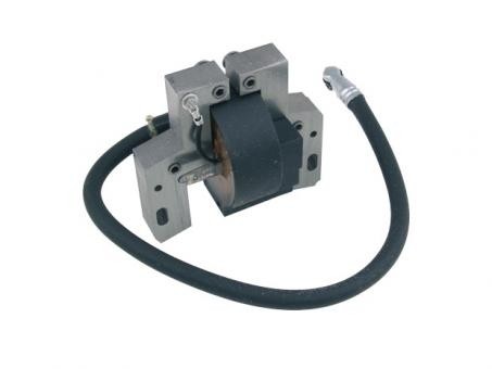 Bobina motore rasaerba - , briggs
