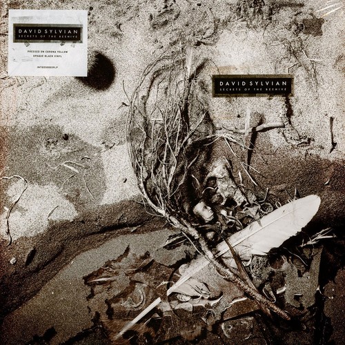 David sylvian secrets of the - -,