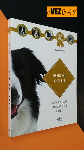 Border collie cani razza - cani,