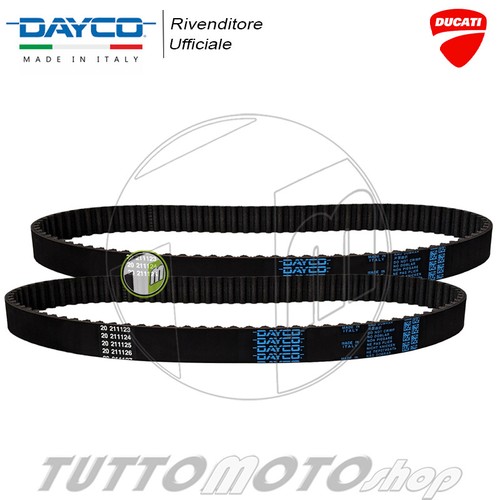 Kit cinghie distribuzione - cinghie,