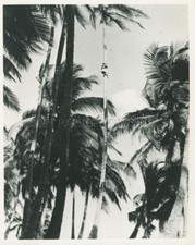 HANS HASS LOTTE HASS