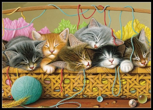 Gattini nel cestino tabella - nel,