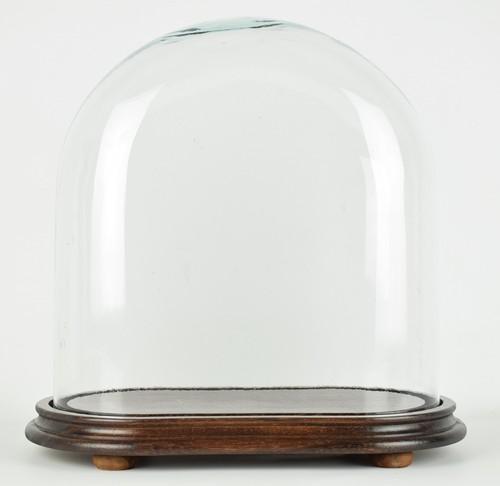 Cupola ovale vetro - cupola,