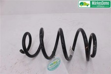 Molla spirale posteriore