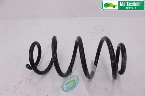 Molla spirale posteriore