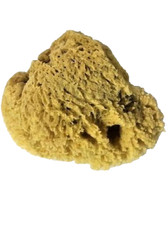 Spugna Marina Naturale Media