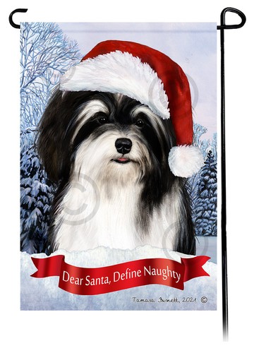 Havanese caro babbo natale - havanese,